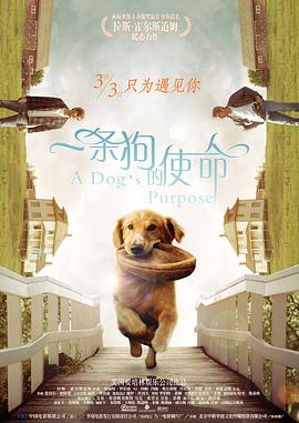 国产精在线